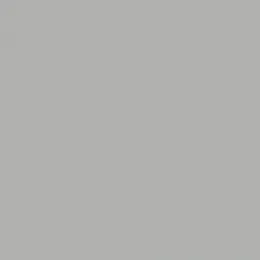 Трикотажное полотно Флис 300 (серый)